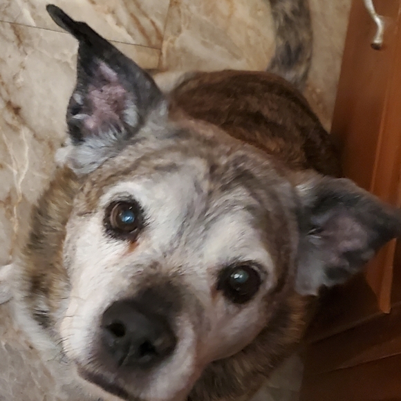 Some of my babies♡ - Picture 3 of 16